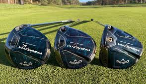 Image result for Callaway Badminton Club