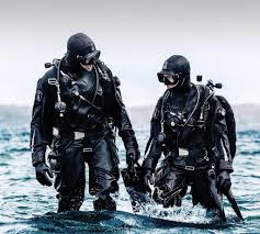 Image result for Bedford Scuba Divers