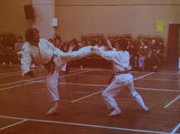 Image result for Thatcham Wado Karate Club