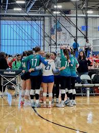 Image result for Cheltenham Cobras Volleyball Club