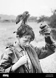 Kuvahaun tulos haulle kes