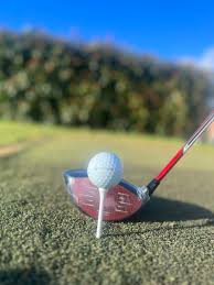 Image result for Mickleover Gc