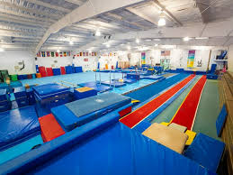 Image result for Ingleby Gymnastics Club