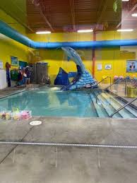 Image result for Grimsby Alexander Dolphins Swimming Club