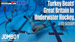 Image result for Tewkesbury and Cheltenham Underwater Hockey Club