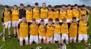 Image result for Shamrocks Hurling & Football Club