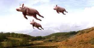Image result for flying pigs