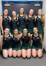 Image result for The Downs Netball Club