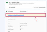 URL will be indexed only if certain conditions are met - Google ...