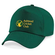 Image result for Ashtead Cricket Club