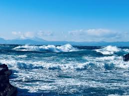 Image result for 高潮 津波 別物