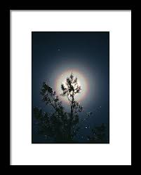 Attēlu rezultāti vaicājumam “pollen corona”