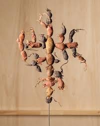 Image result for Alain Delorme