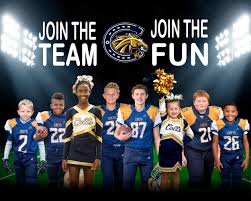 Image result for Manor Colts Youth Football Club