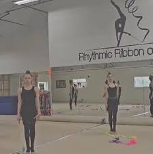 Image result for Asymmetrix Gymnastics Club