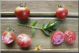 Afbeeldingsresultaat voor bloody butcher tomato