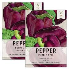 Afbeeldingsresultaat voor purple beauty sweet pepper