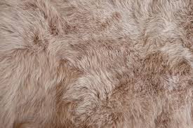 Image result for white rabbit skin texture