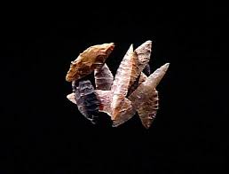 Image result for feuille-laurier-silex