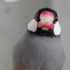 「海老沢和生」の画像検索結果