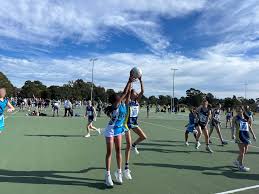 Image result for Wombles Netball Club