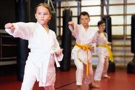 Image result for Martial Arts Karate Mesa AZ