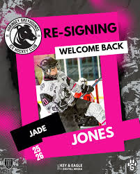 Image result for Haringey Greyhounds Ice Hockey Club