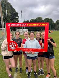 Image result for Rostrevor Hurling Club