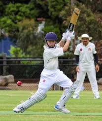 Image result for Bat Sports Cricket Club