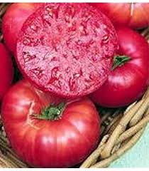 Afbeeldingsresultaat voor kosmonaut volkov 68D tomato