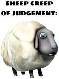 Image result for Teamsheep