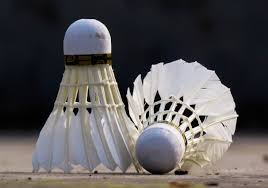 Image result for Somerset Nomads Badminton Club