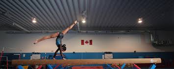 Image result for Mk Springers Gymnastics Club