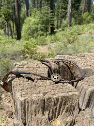 Image result for brilsnoer