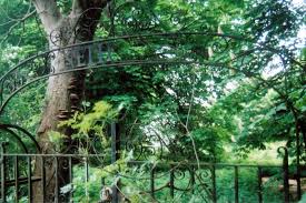 Image result for Netherne Community Amateur Sports Club