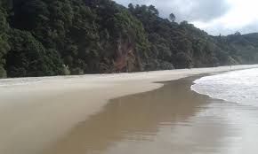 Image result for new chums beach