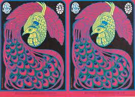 Image result for psychedelic posters