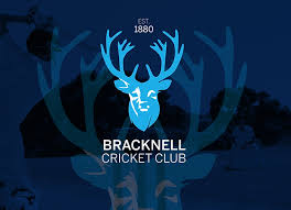 Image result for Bere Regis Cricket Club