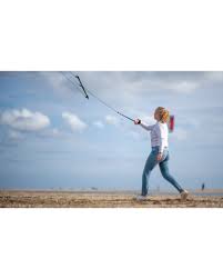 Image result for Baiter Power Kite