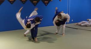 Image result for Hillsborough Judo Club