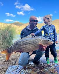 Image result for Petrus rupestris