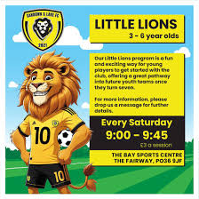 Image result for Sandown Sports Club