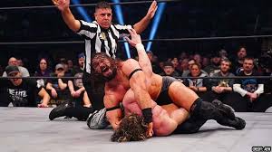 Image result for brutalizer