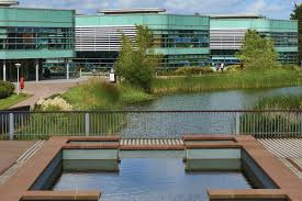 Image result for Edge Hill University Rounders