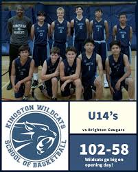 Image result for Kingston Wildcats Basketball Club