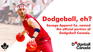 Image result for The Dodgeball Company