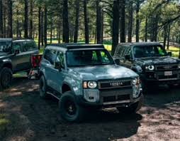 Image result for site:net pino◆MatthewZ8E