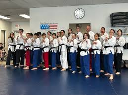 Image result for Vision Martial Arts
