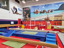 Image result for Arabian School Of Gymnastics