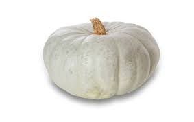 Image result for Kürbis